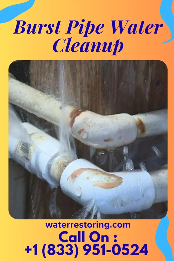 Burst Pipe Water Cleanup in Beaver, OH