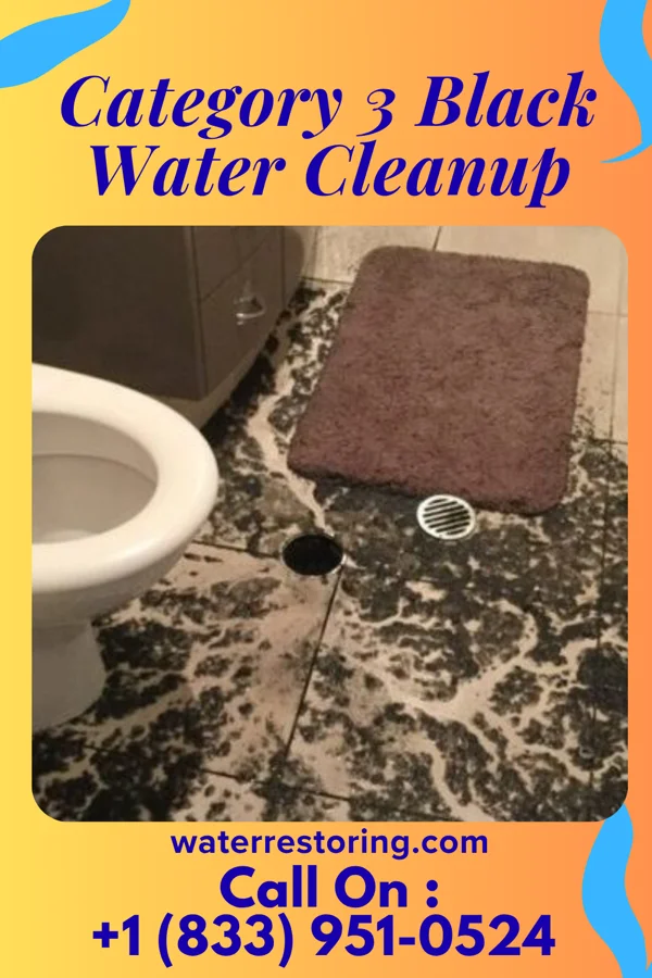 Category 3 Black Water Cleanup in Beaver, OH