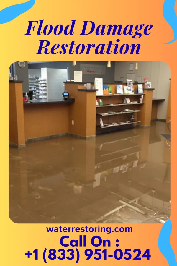 Flood Damage Restoration in Beaver, OH