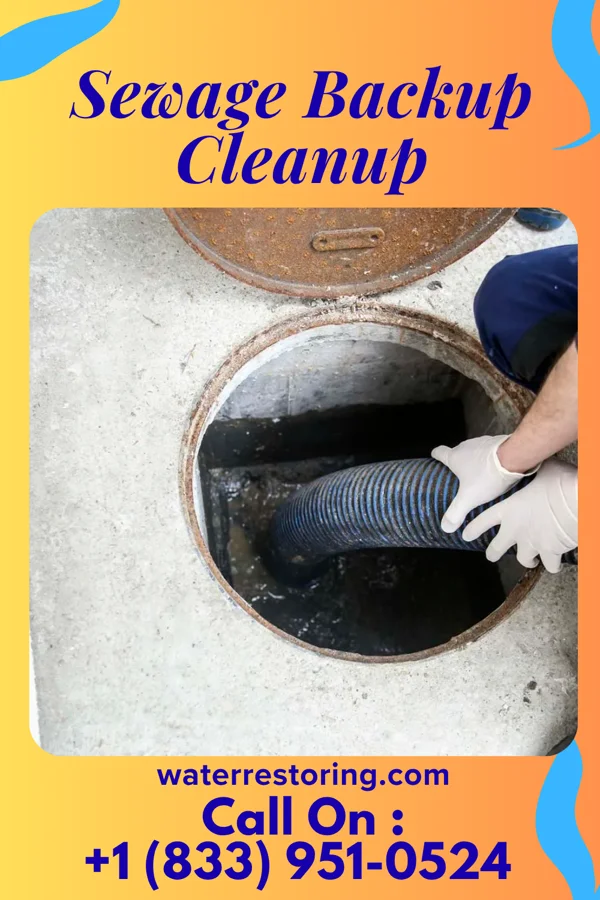 Sewage Backup Cleanup in Beaver, OH